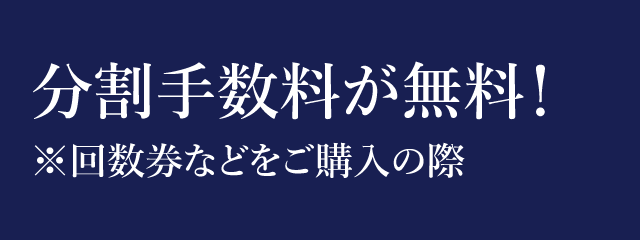 クレジットカードの手数料が最大12分割まで無料！